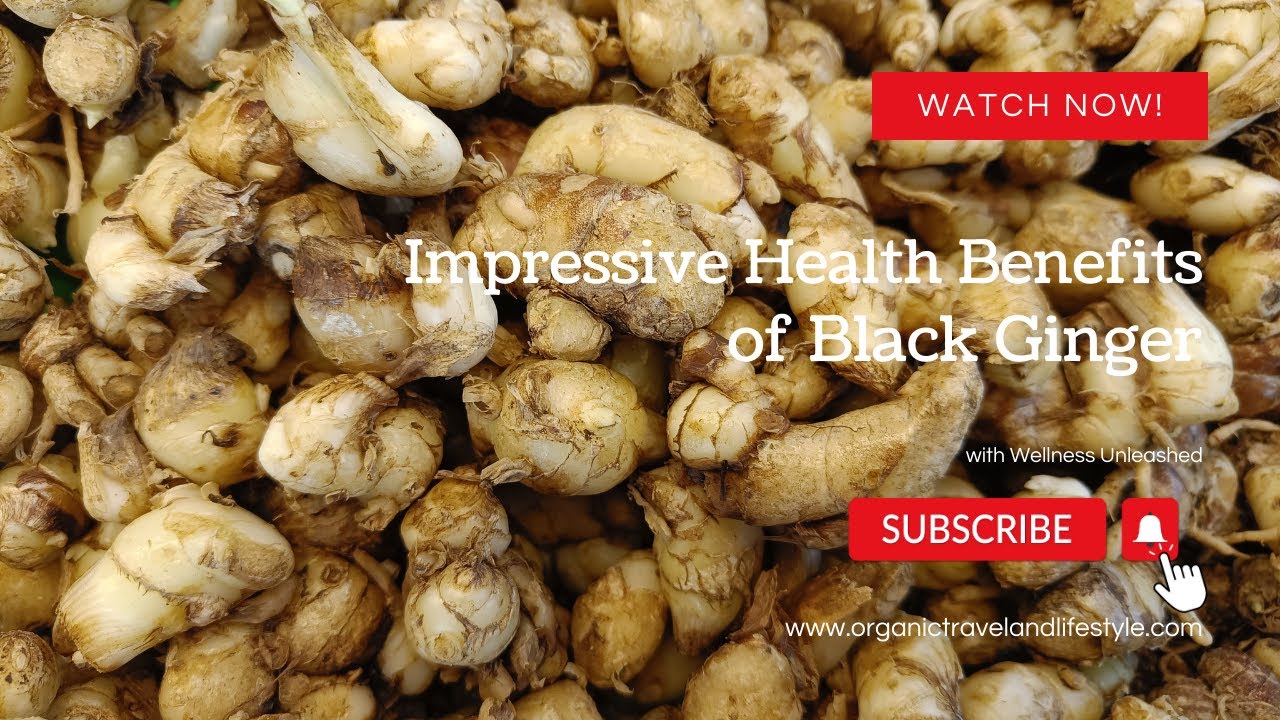Impressive Health Benefits of Black Ginger