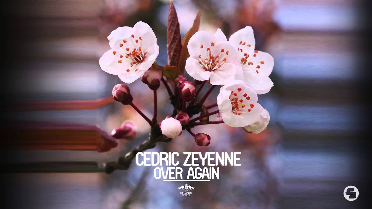 Cedric Zeyenne - Over Again (Radio Edit)