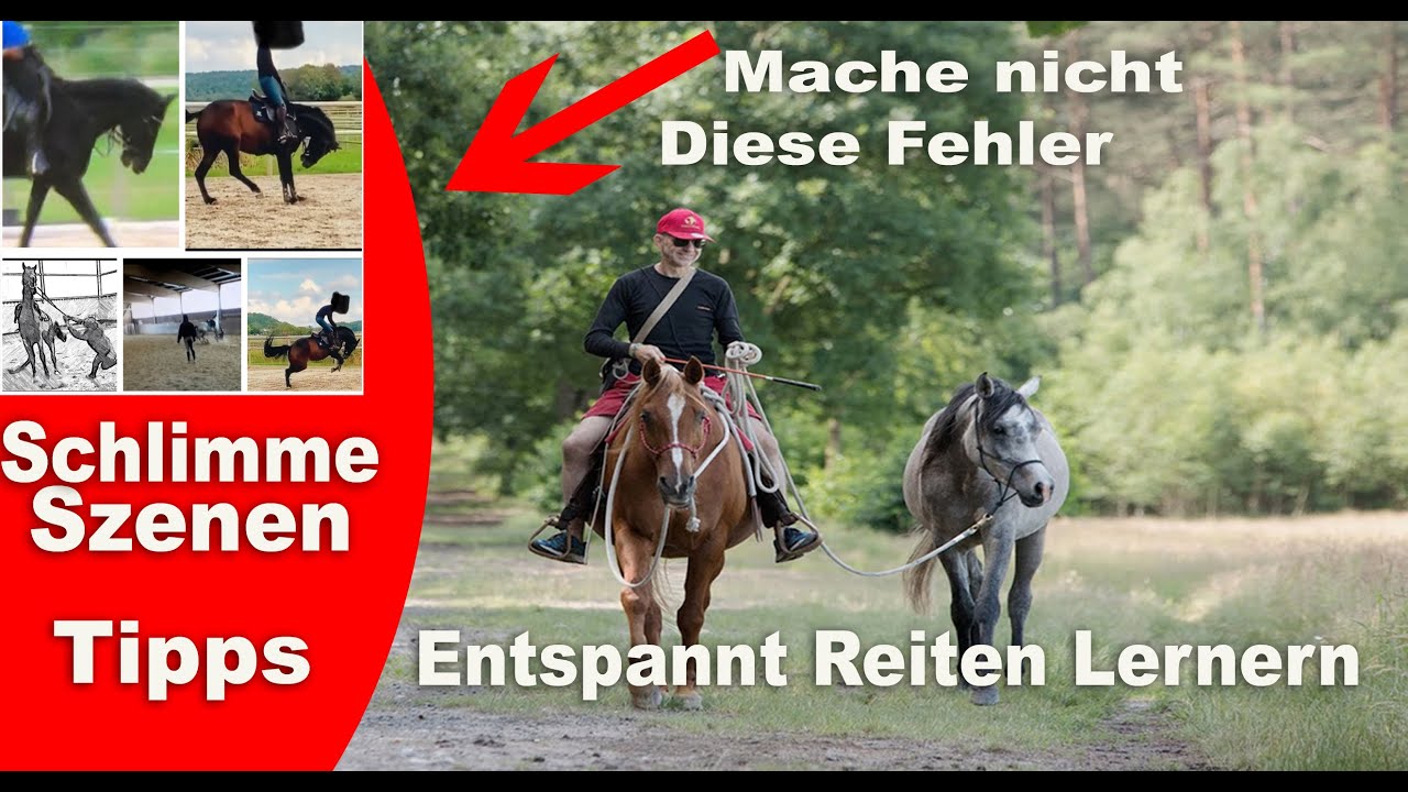 React auf Ingrid Klimke *Was tun bei bockenden Pferden*Buckelnde PferdeWarum ablongieren falsch ist