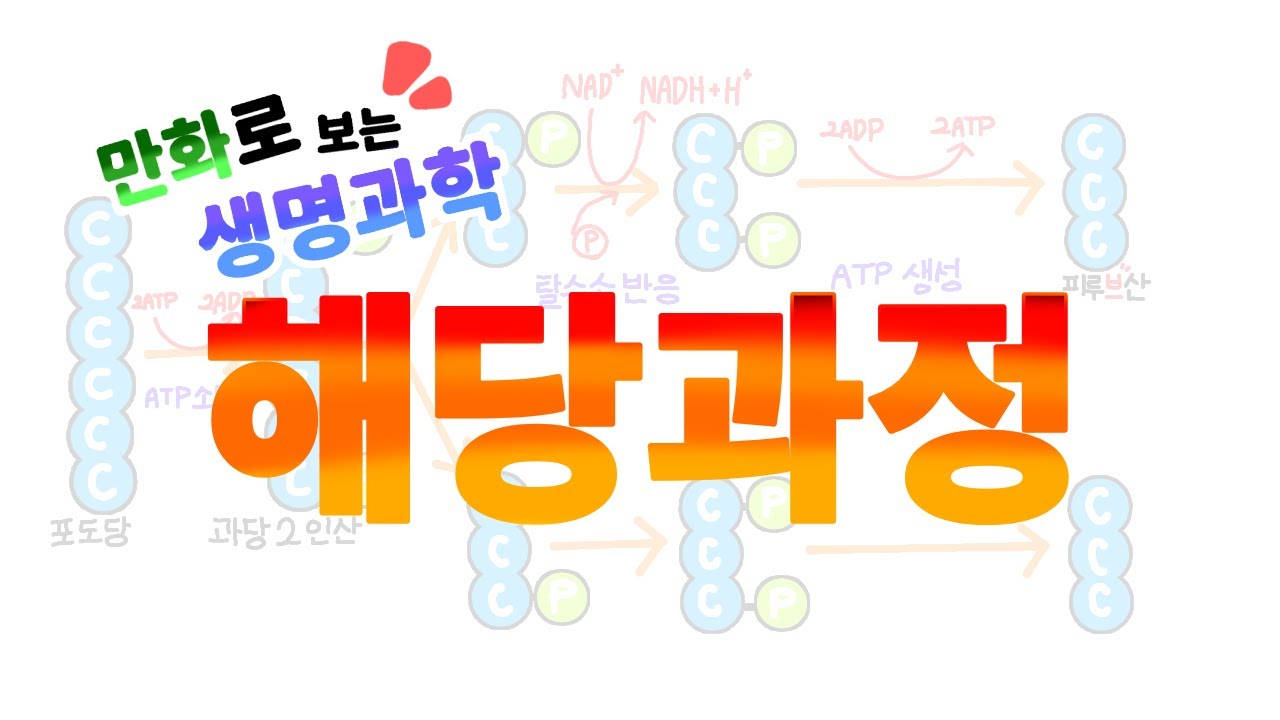 3분만에 해당과정 마스터하기!