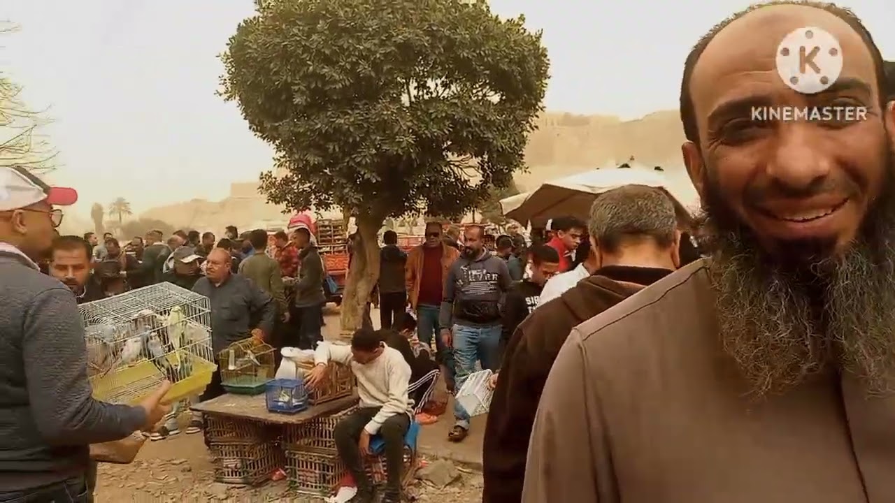 ان شاء الله اخبار اول سوق جمعة في رمضان غدا⁉️واخبار لم العصافير غدا💚⚘️والشيخ بشير هيلم ايه وبكام⁉️