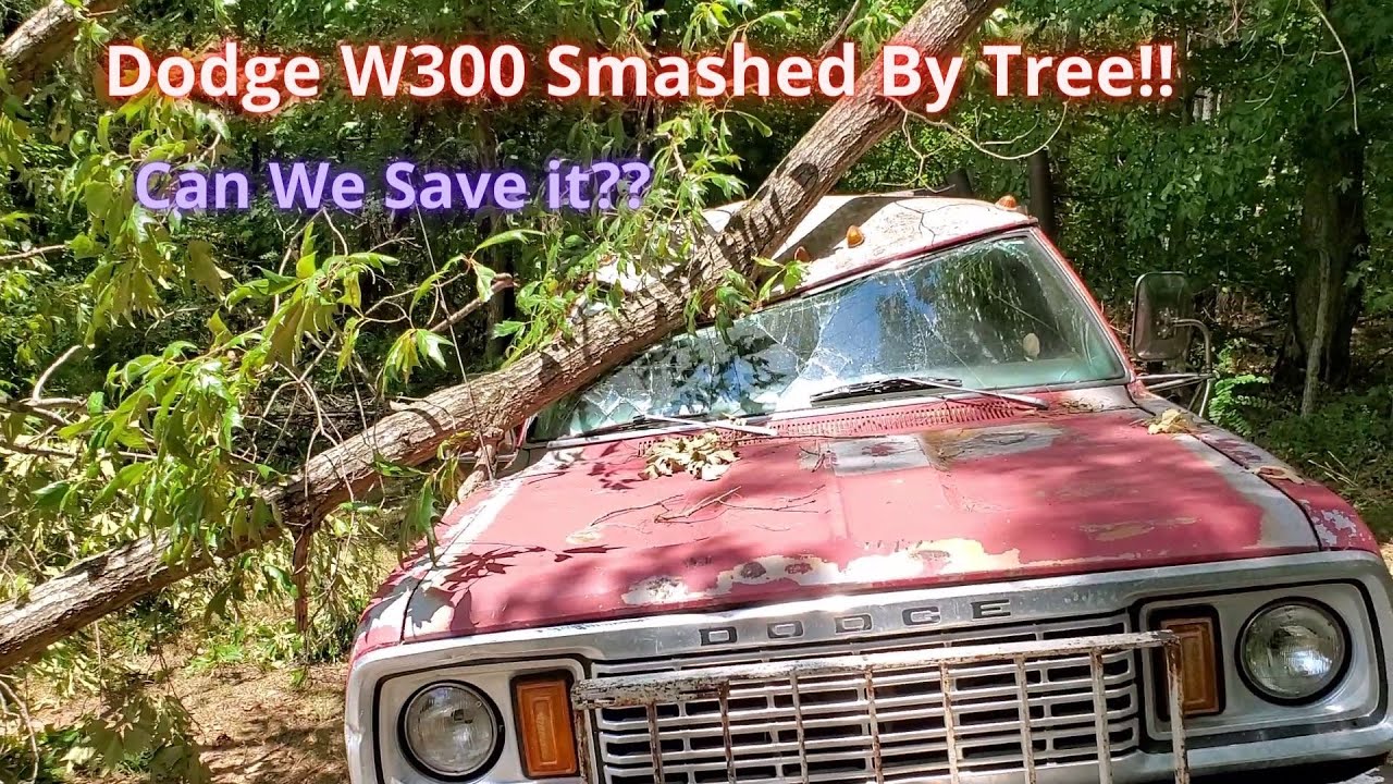 1979 Dodge W300 Club Cab Crushed By Tree. Can we save it??? | Part 1