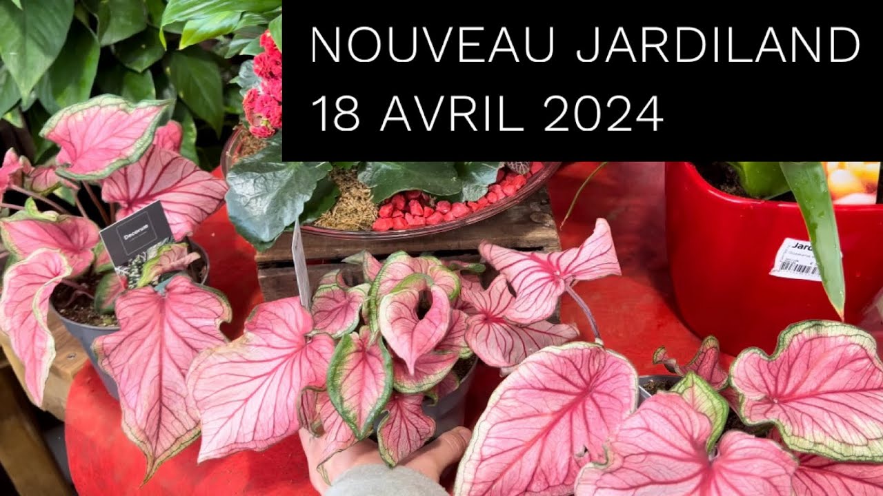 JARDILAND PORNIC & GAMMVERT