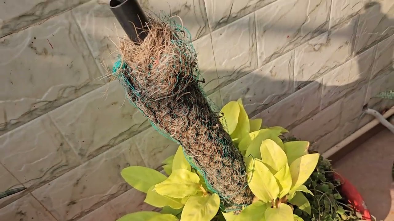 BEST Gargening Tips For All Gardeners