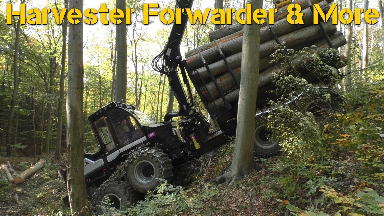 Logset 6F | Brandnew Forwarder | Perfect Fall Weather