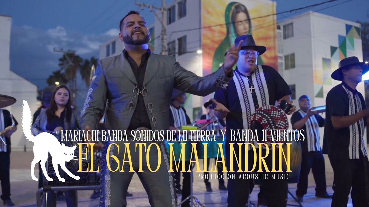 EL GATO MALANDRIN-Mariachi banda sonidos de mi tierra y banda 11 vientos (VIDEO OFICIAL)