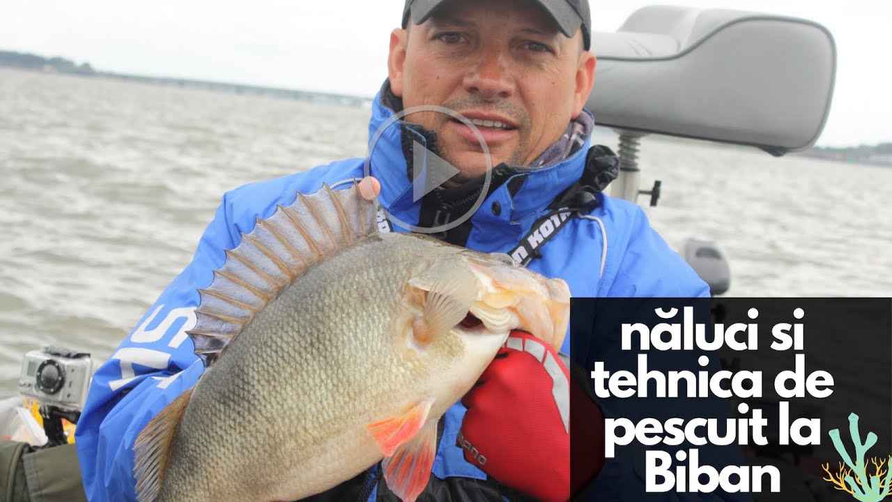 Atelier naluci si tehnica de prins bibani pentru începători 🎣🐟👊