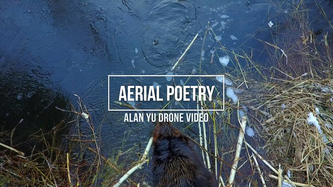 Aerial Poetry 100% Drone Video Footage of Four Seasons in Nature