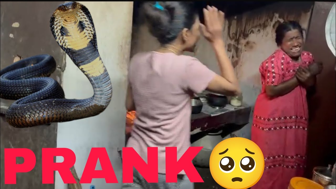 SNAKE PRANK ☹️GONE WRONG |prank