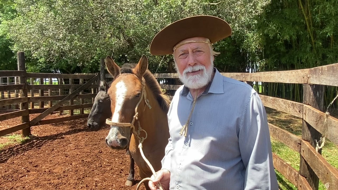 Mano Lima: Cavalo Ligeiro, Homem Véio e Cavalo que Come Pinto