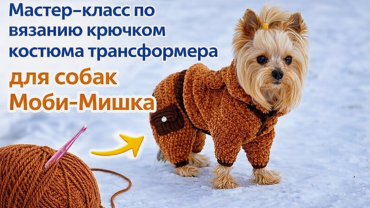 Моби-Мишка 🧸 Плюшевый костюм для собаки крючком | Кофта и штаны МК