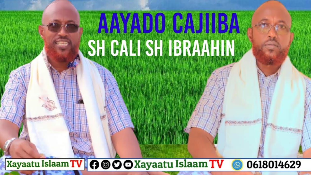 Aayado cajiiba dhegaha ugu raaxeey sh cali sh ibraahim daawasho wacan