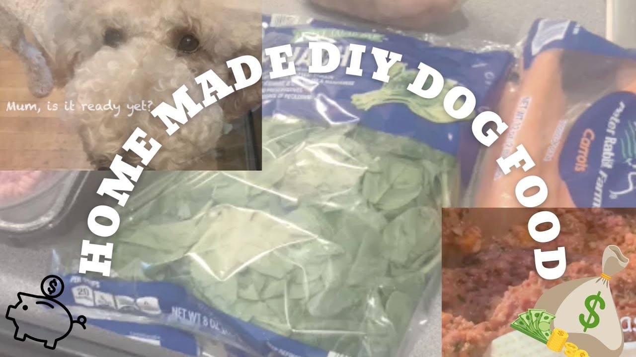 DIY home made food for dogs | Standard Poodle healthy meal recipe