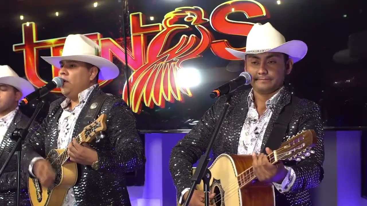 Los Trinos - Pop Bryndis ( En vivo desde Encuentro Huasteco )
