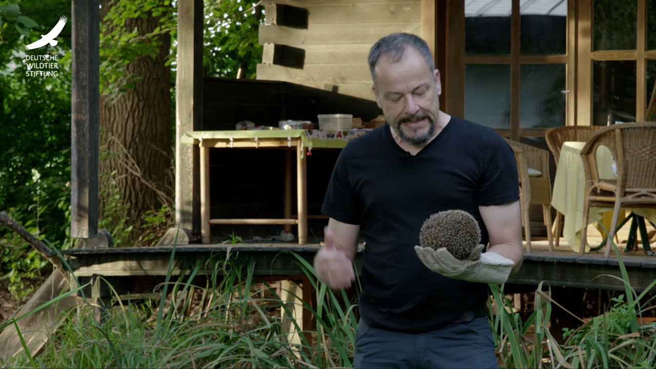 Jans Tierleben: Folge 16 – Igel