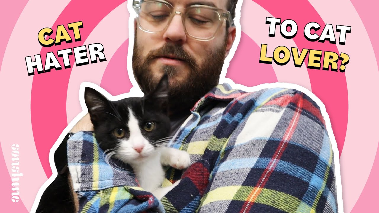 Can we turn a Cat HATER into a Cat LOVER?