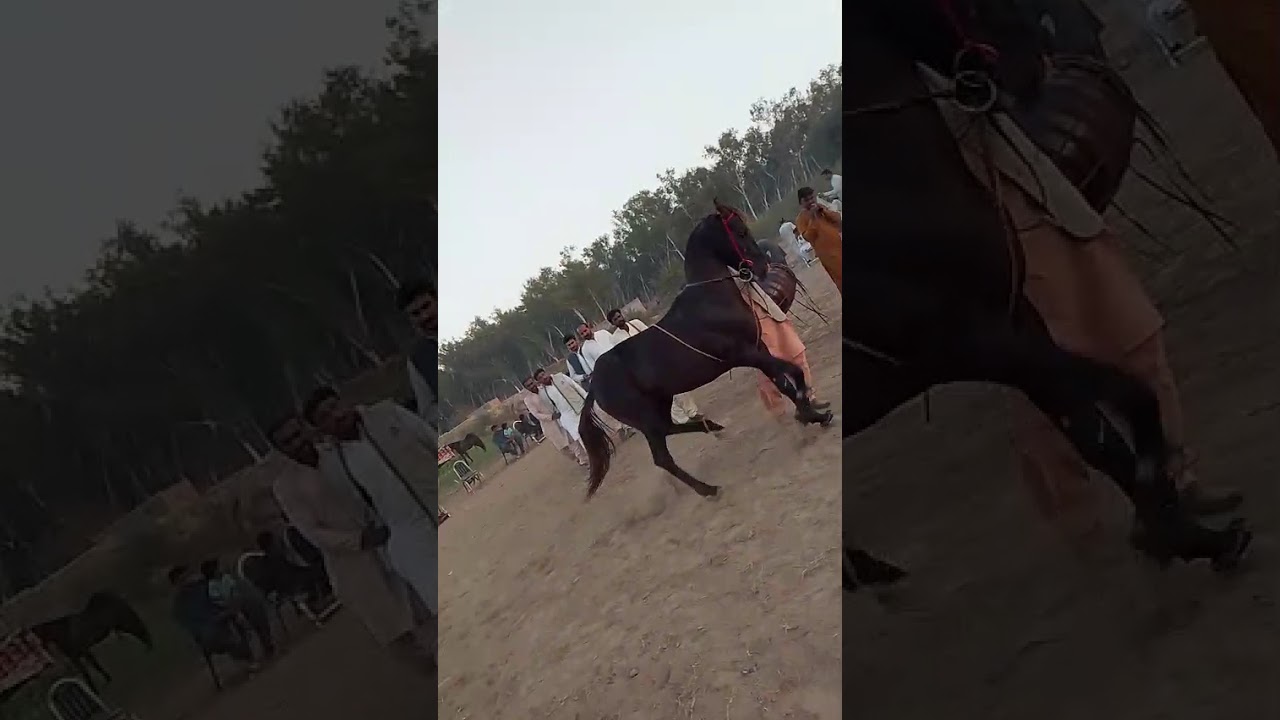 #unfrezzmyaccount #lifeisbutadream #farming #villagelife 