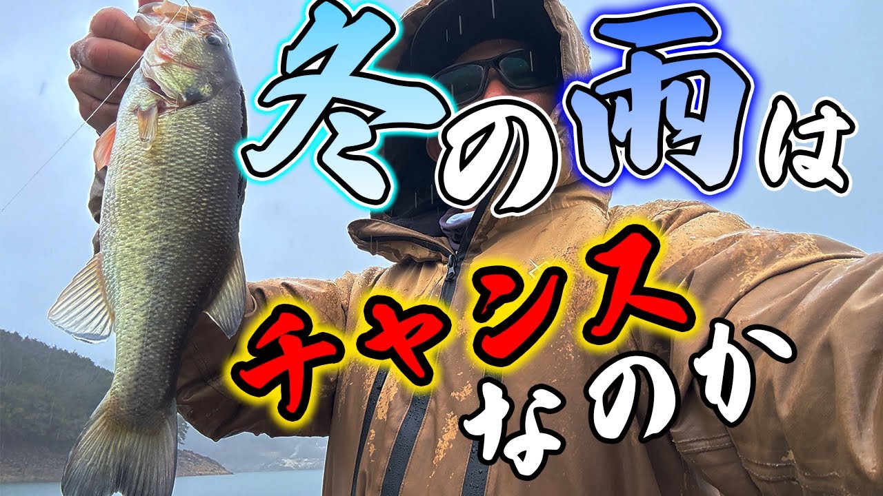 【バス釣り】冬の暖かい雨！シャローに期待するも   釣れるのはコレ【三河湖】