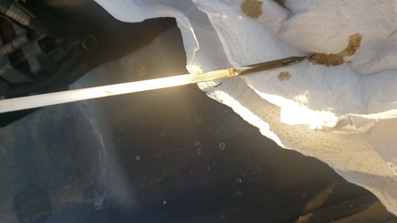 Hyundai Engine Oil Dipstick Stain can Give a False Reading if you Look Fast or Can't See Right