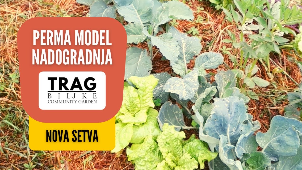 PERMA MODEL - NADOGRADNJA (2022) [TRAG BILJKE]