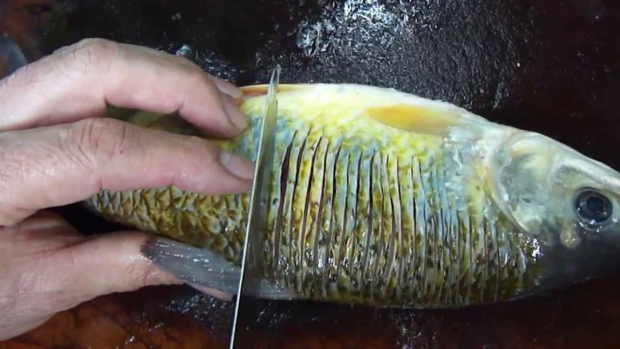 Como preparar um peixe frito sem espinho