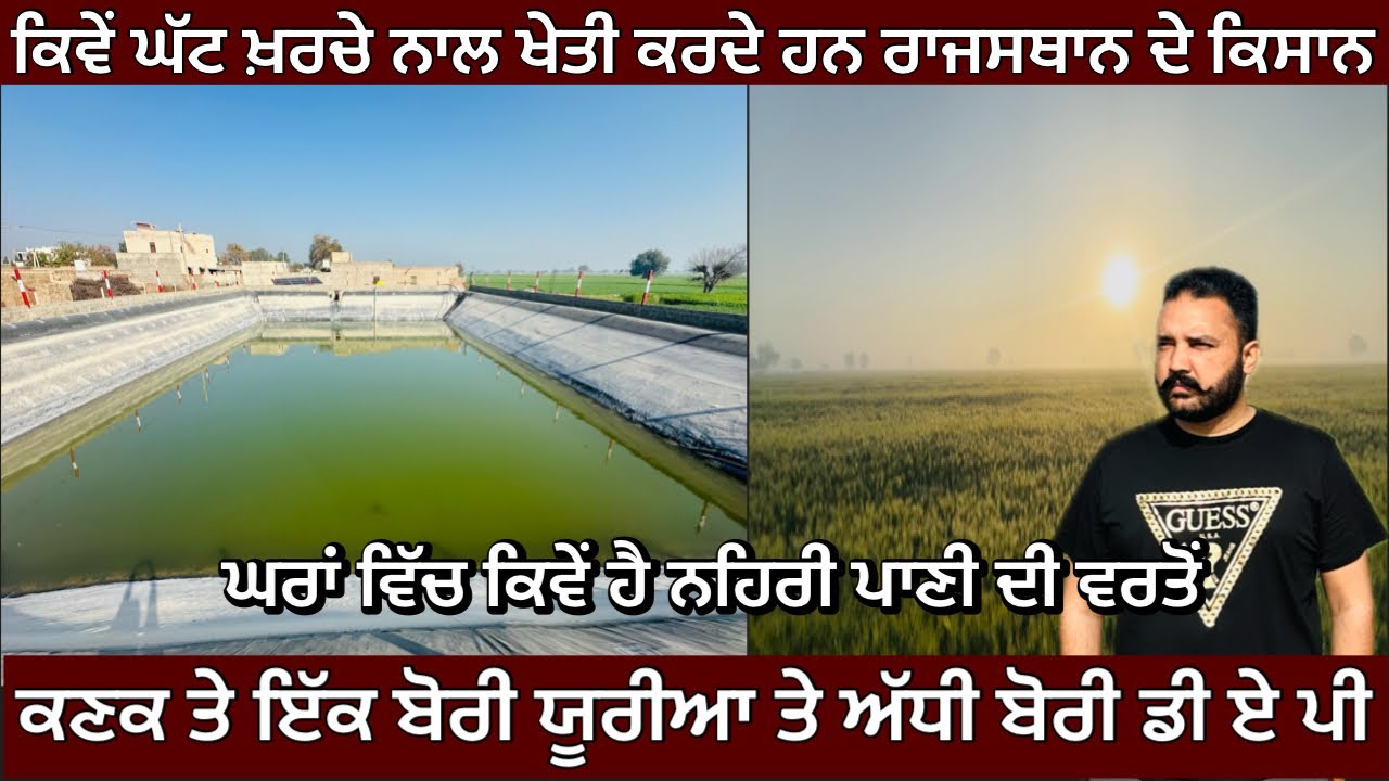 ਕਿਵੇਂ ਘੱਟ ਖ਼ਰਚੇ ਨਾਲ ਖੇਤੀ ਕਰਦੇ ਹਨ ਰਾਜਸਥਾਨ ਦੇ ਕਿਸਾਨ | Rajasthan village | LL 8 Ganganager | Rajasthan 