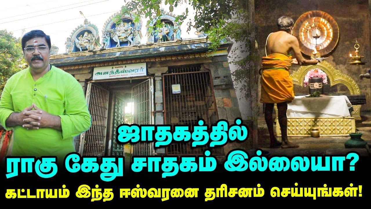 Chidambaram Anandeswarar Temple | இந்தத் தலம் வந்தால் Yoga-ல் சிறக்கலாம் | சிதம்பரம் அனந்தீஸ்வரர்