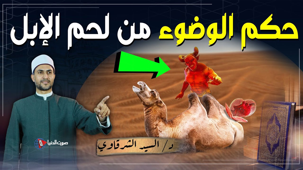 لماذا لحم الإبل ينقض الوضوء؟ و لماذا أمرنا النبي بضرورة الوضوء بعد أكل لحمها؟