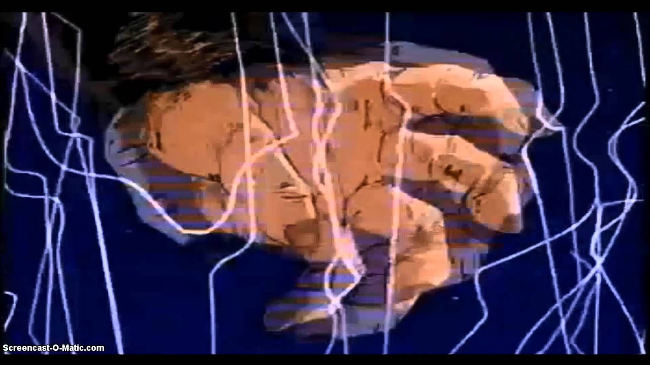 DBZ - ANIMAL I HAVE BECOME