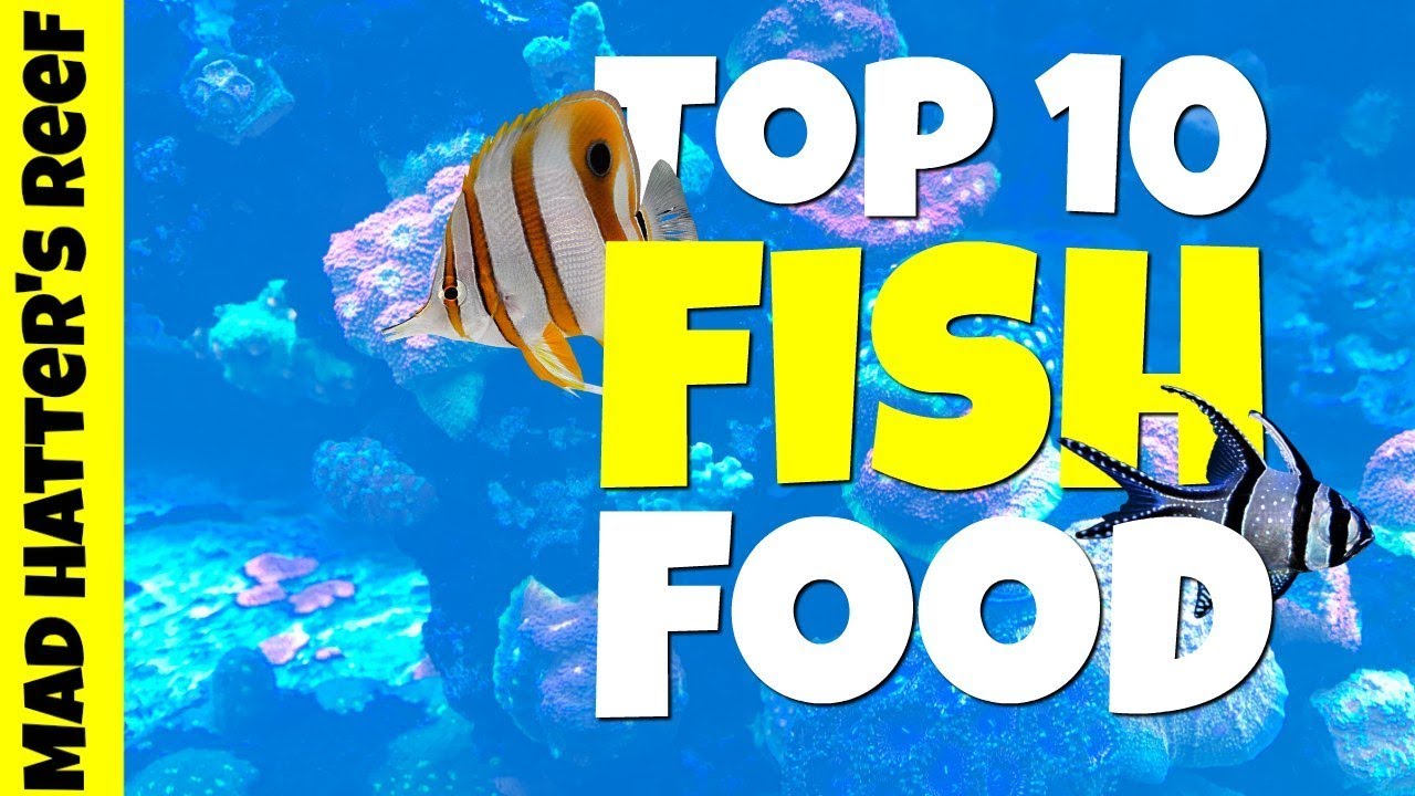Top 10 Foods for Your Fish and Corals