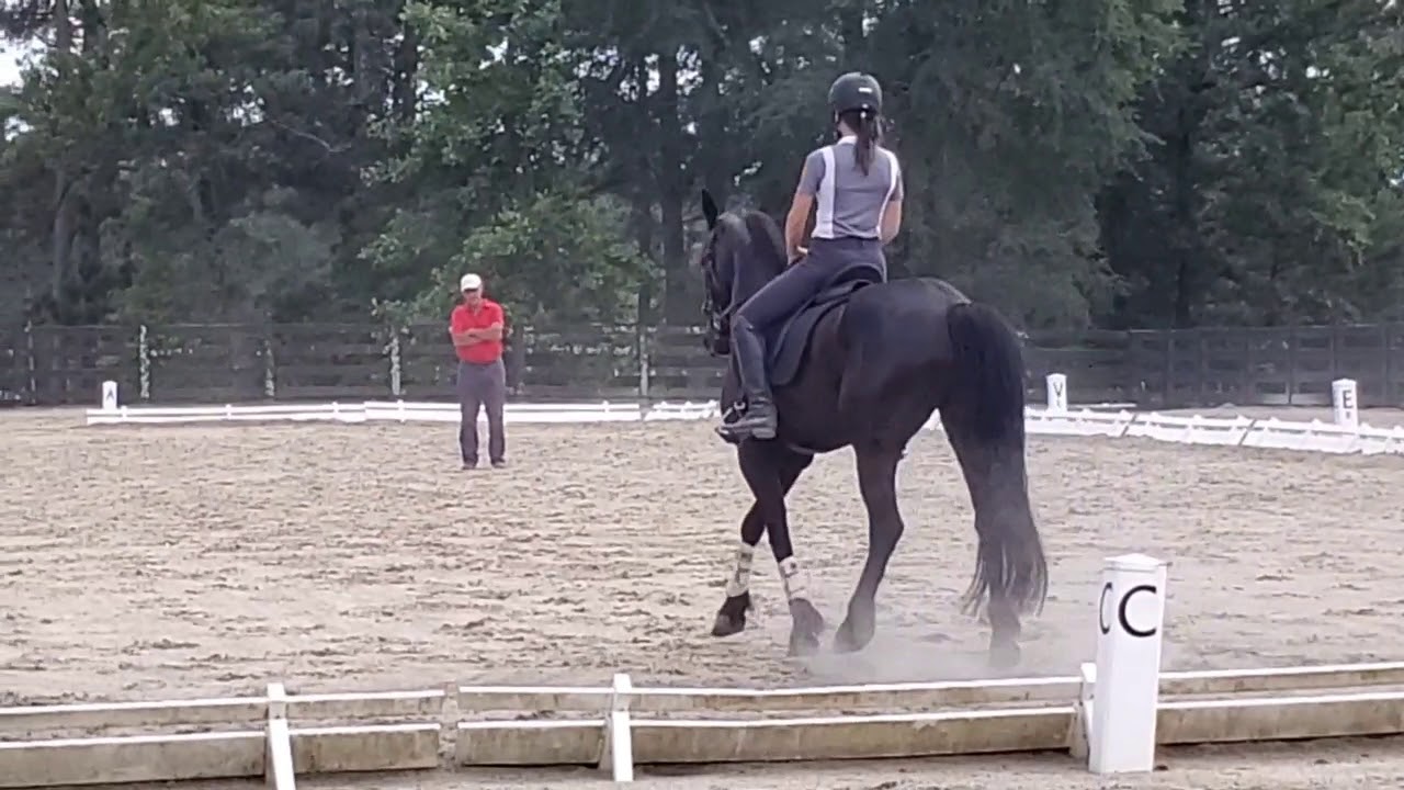 Riding Lesson with Jos Sevriens