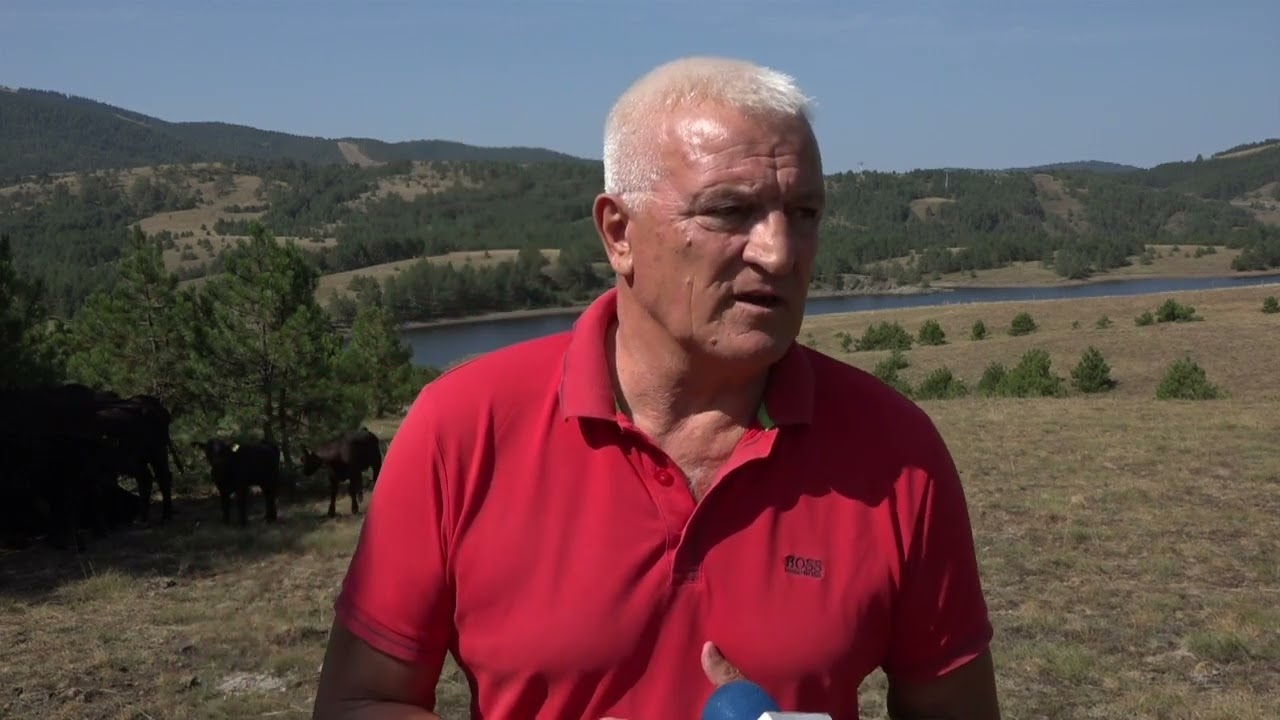 ZLATIBOR 30.08.2024. Sa Zlatiborskih suvata do Angus šnicle