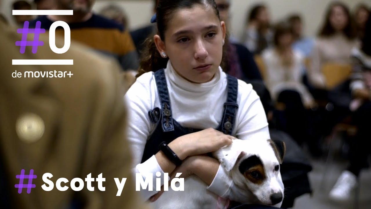 Scott y Mil&aacute;: Perros que ayudan - Empat&iacute;a animal | #0