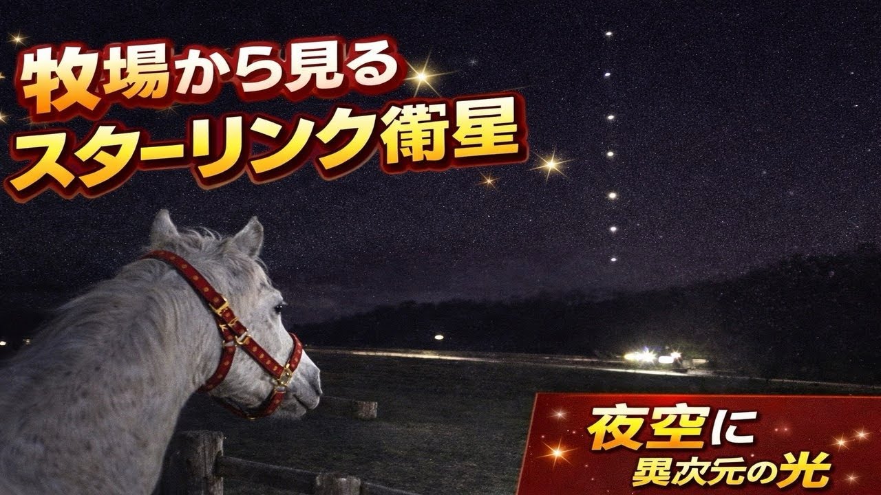 牧場から見るスターリンク衛星
