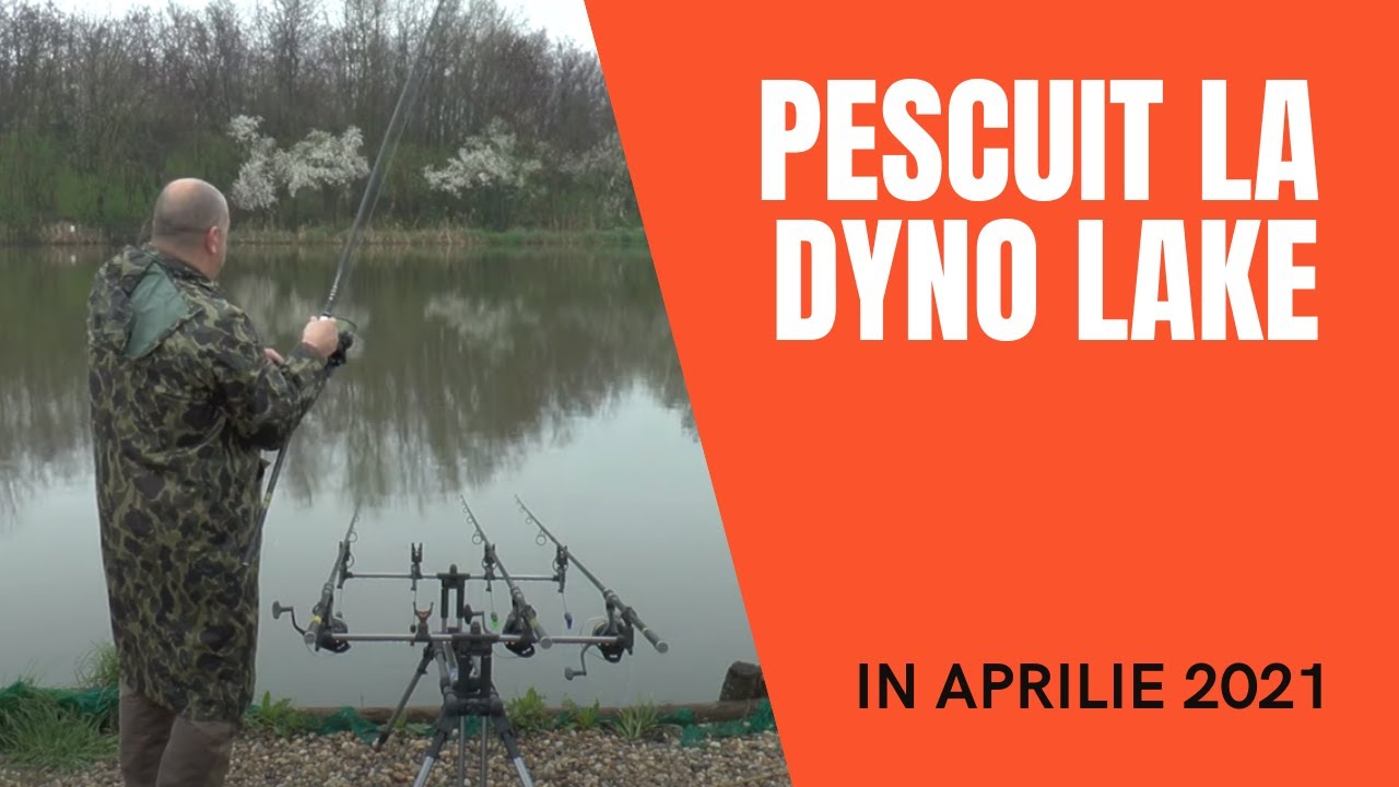 Nadă cu țuică și alune tocate pentru pescuit de primăvară (Dyno Lake, aprilie 2021)