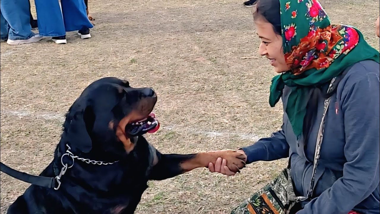 জামশেদপুর এ শুরু হয়ে গেছে dog show 🐕‍🦺 অসাধারণ একটা সময় কাটালাম
