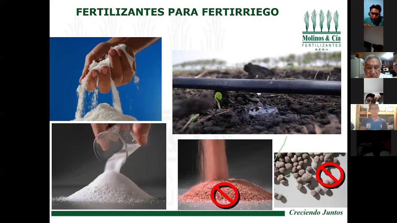 Uso Eficiente de los Fertilizantes Solubles
