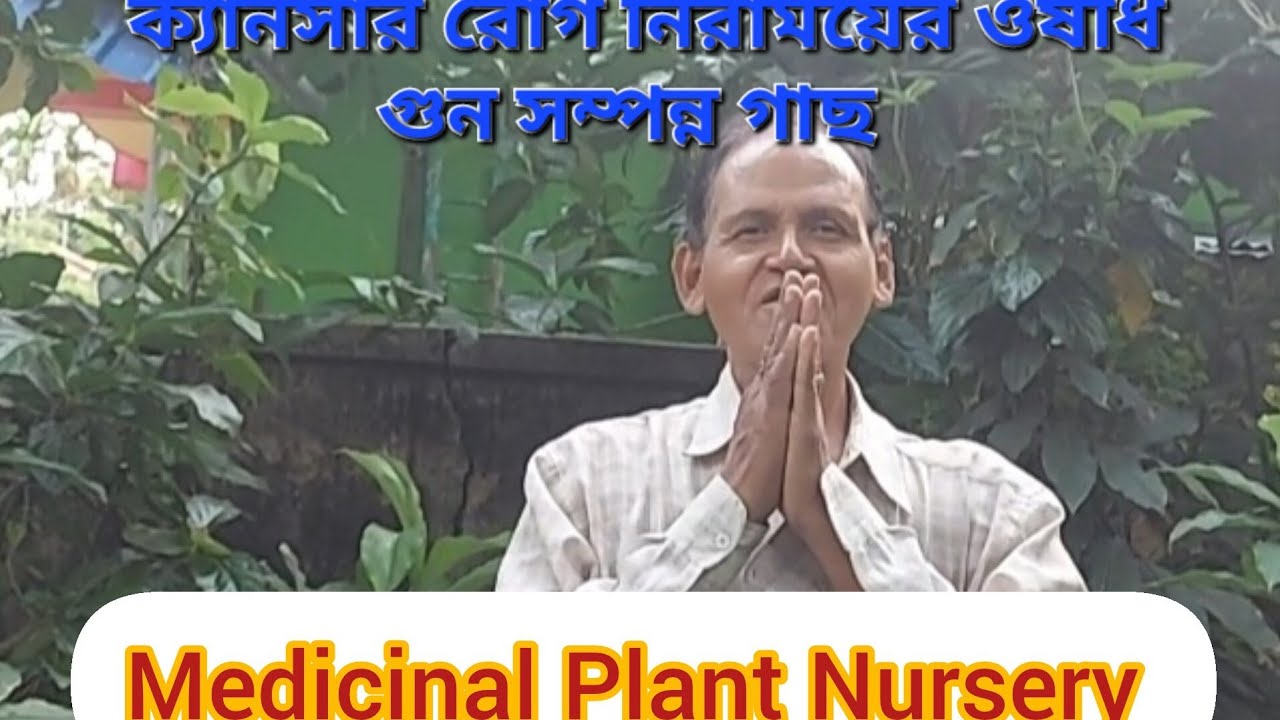 Nature pod nursery l Medicinal plant nursery near kolkata l ভেষজ গাছের নার্সারি ।