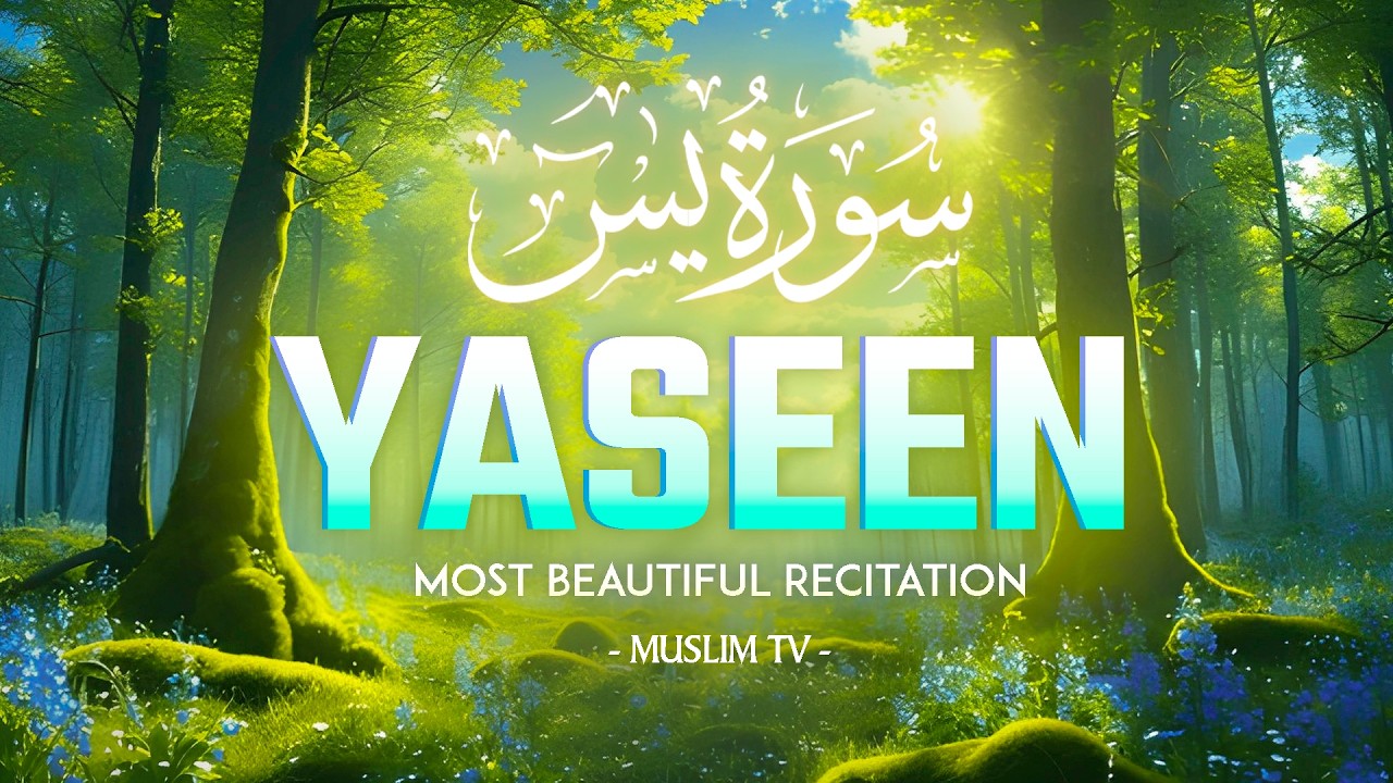 Surah Yaseen سورة يس | Soothing Recitation for Protection, Guidance & Restful Sleep #yasin