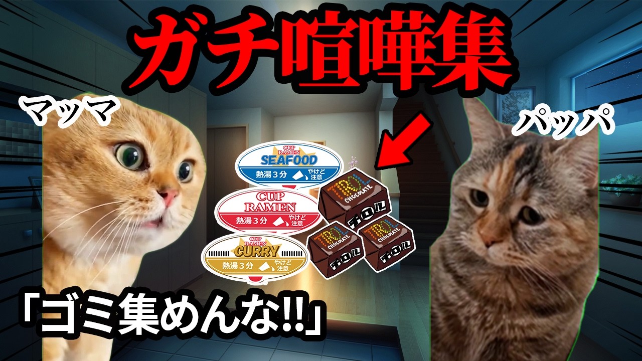 平穏な家族が喧嘩する瞬間まとめてみたｗｗｗ【総集編】#猫ミーム #猫マニ #あるある