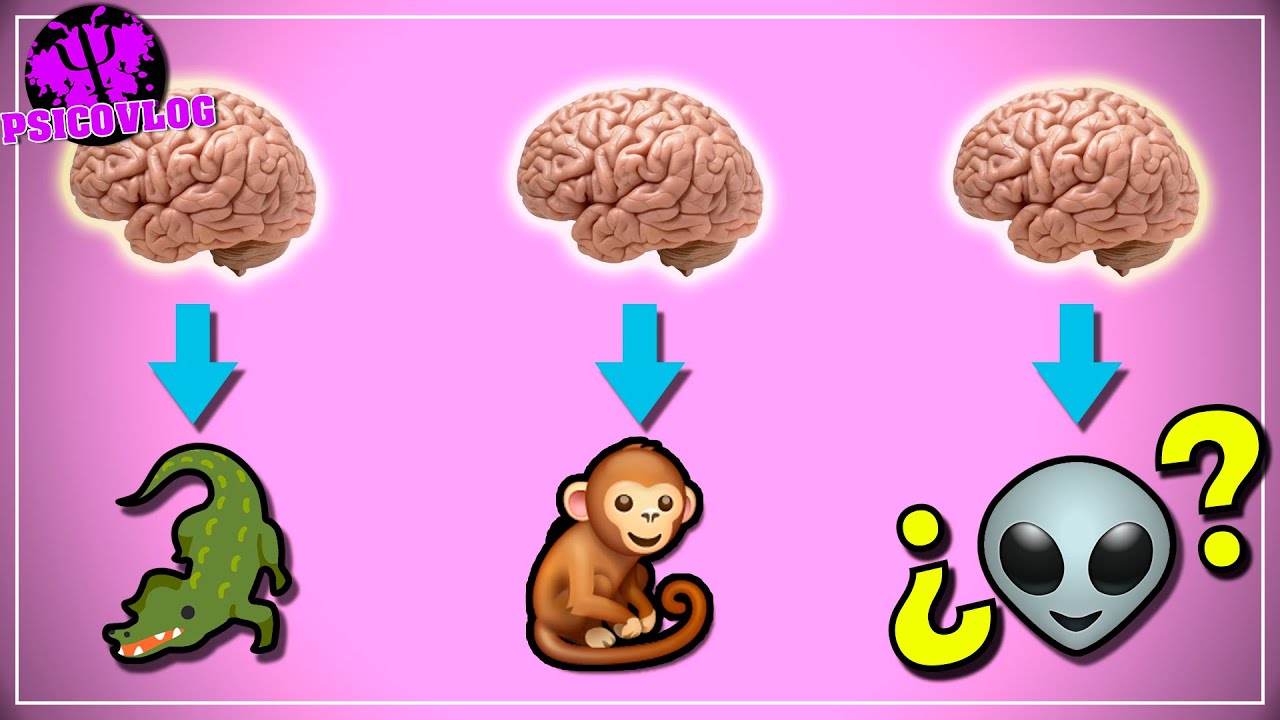 Tenemos 3 CEREBROS 🧠🧠🧠 [3 MITOS de la Psicología Moderna]