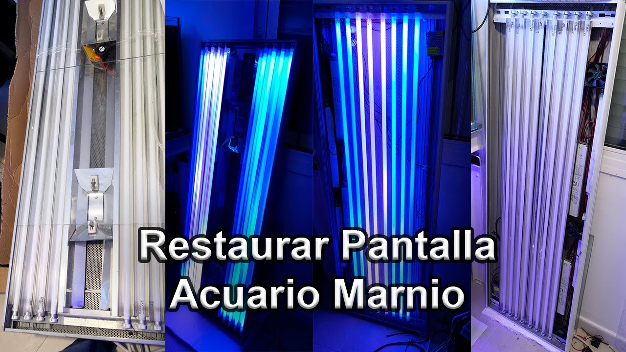 Pantalla Acuario Marino - Restauración de Sfiligoi 8x80 T5 + HQI