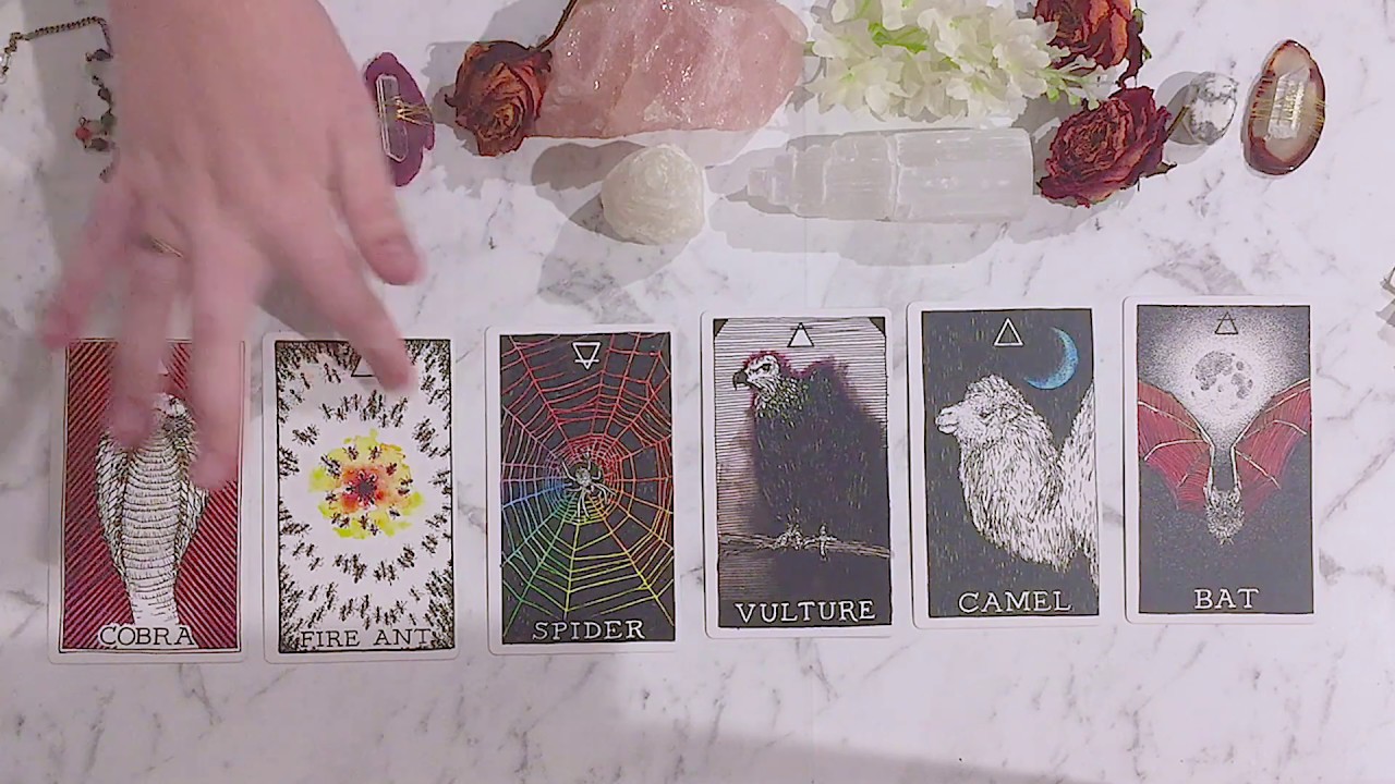 What Will Your Significant Other Look Like? | PICK A CARD