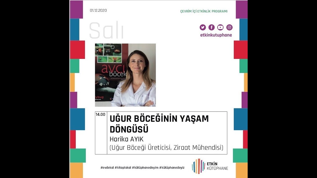 Harika AYIK ile Uğur Böceğinin Yaşam Döngüsü