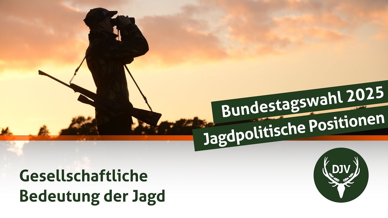 Bundestagswahl 2025 – Jagdpolitische Positionen zur Bedeutung der Jagd