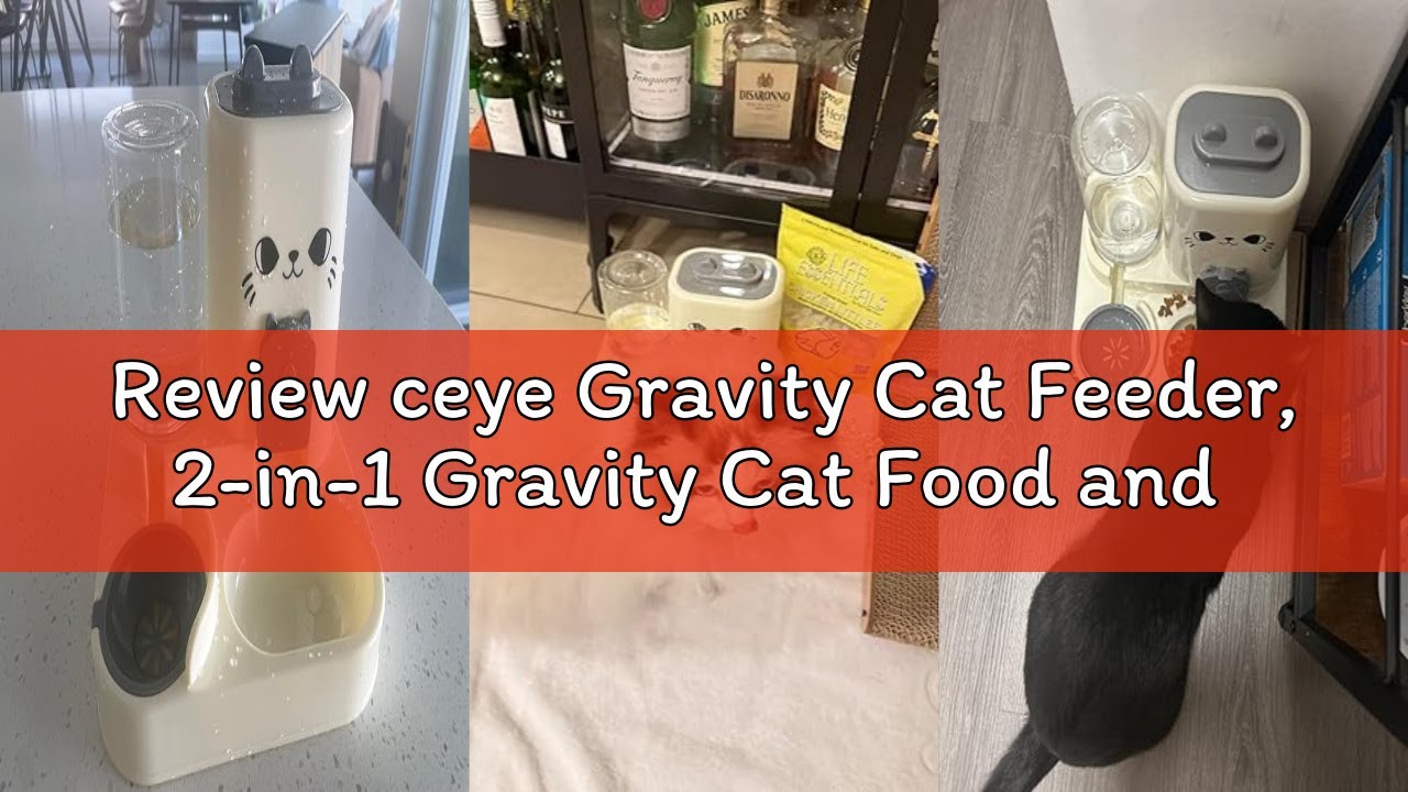 Review ceye Gravity Cat Feeder, 2-in-1 Gravity Cat Food and Water Dispenser Small Food Water Dispens