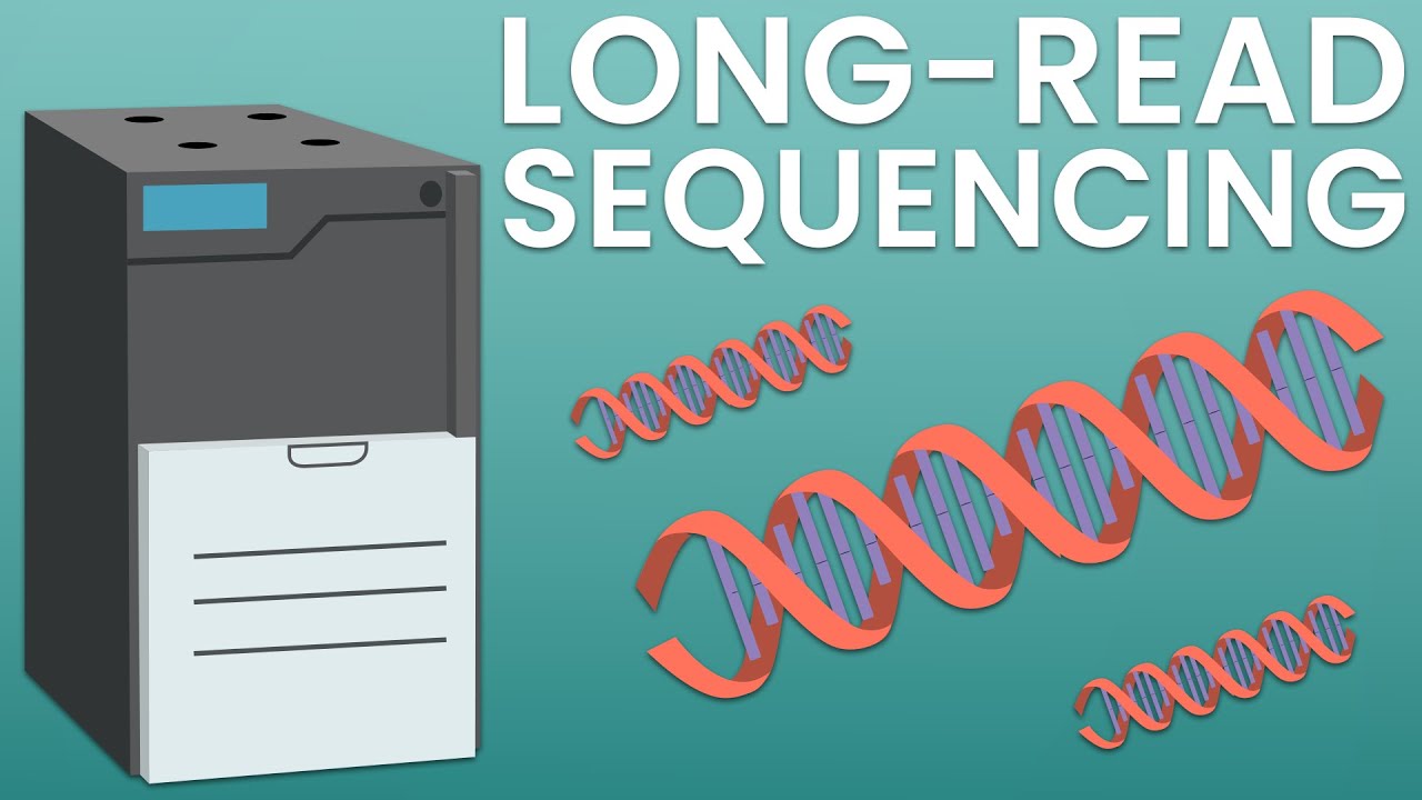 Introducing long-read sequencing for metagenomics