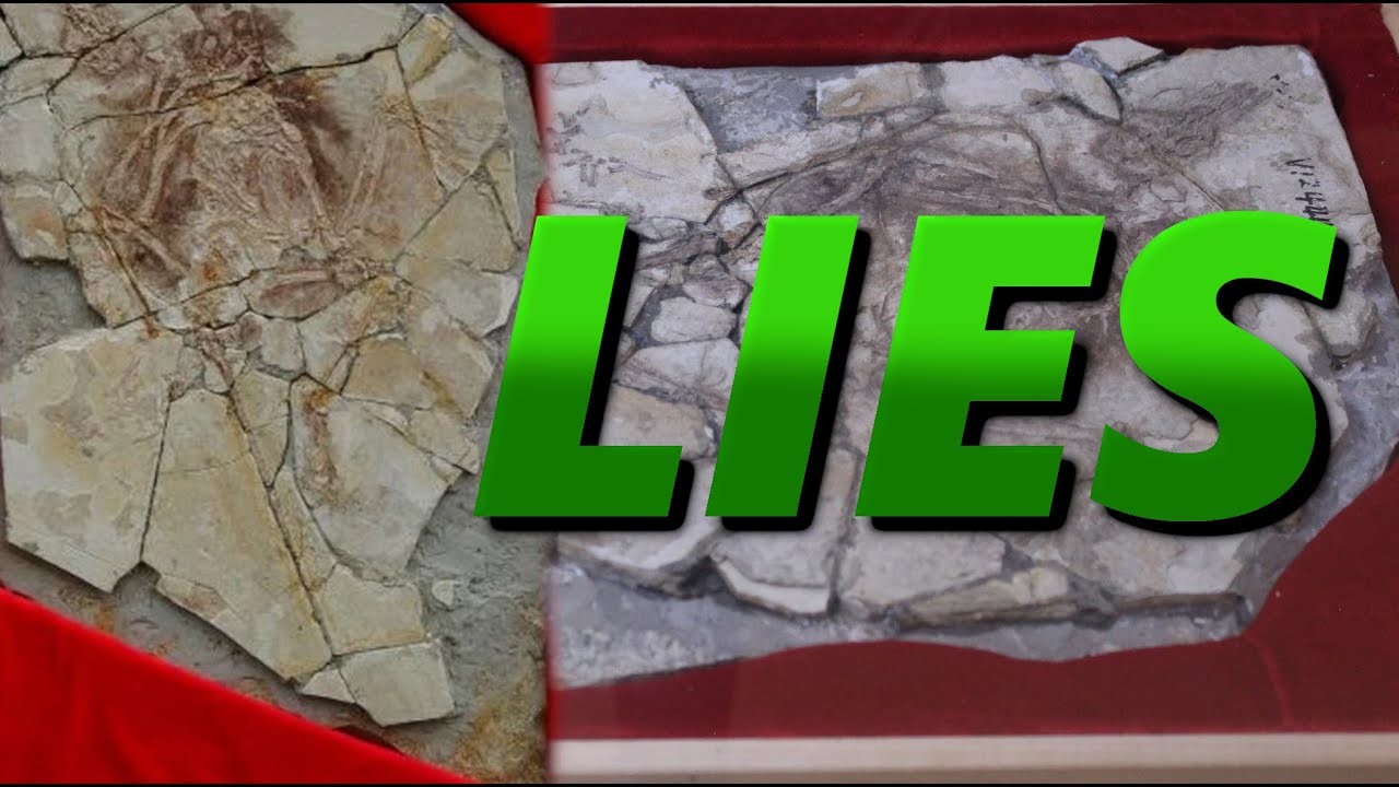 The Fake Dinosaur That Fooled National Geographic | The Archaeoraptor Hoax | Prehistory in the Dark
