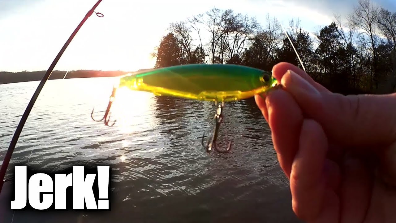 Bass Fishing From the Bank - Shallow Water Jerkbait Fishing