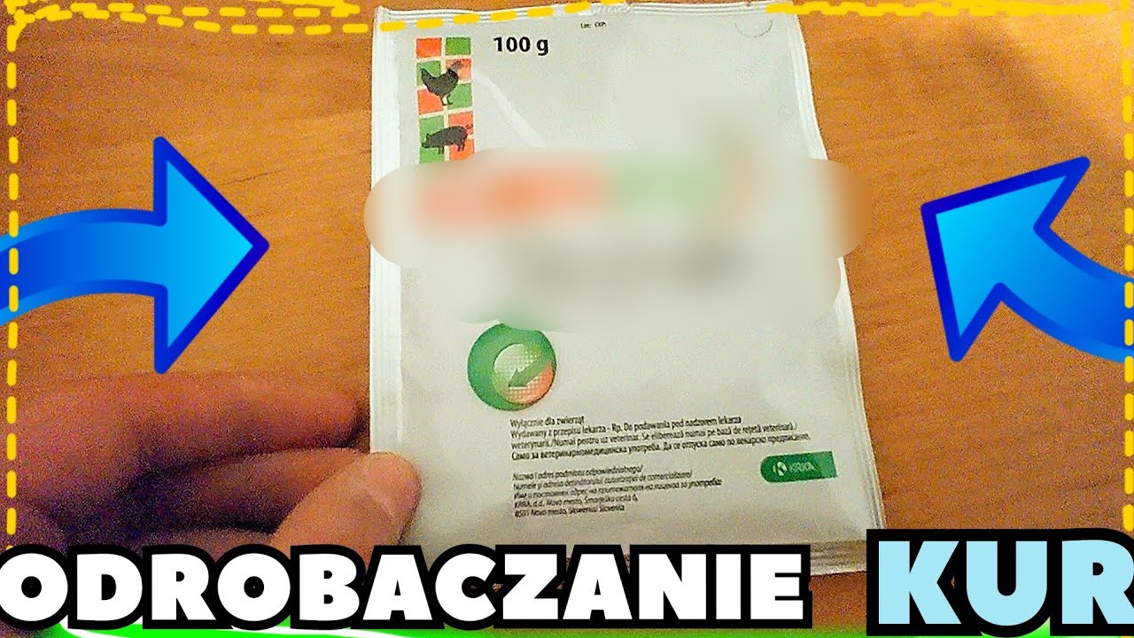 Odrobaczam kury 🐔 - dlaczego i CZEGO używam ❓️